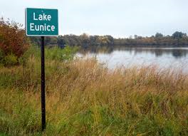 Lake Eunice Real Estate