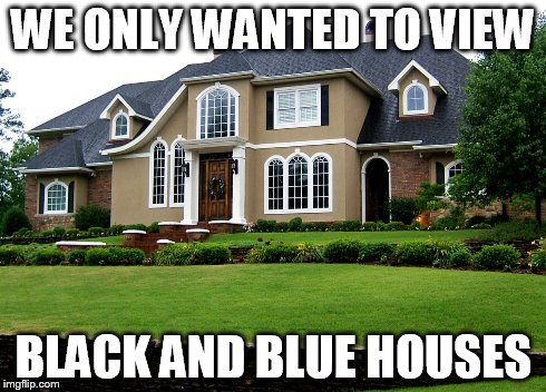 Black and Blue House