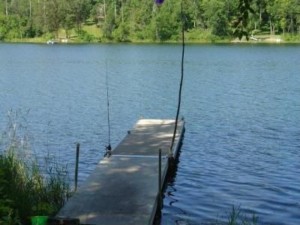Perch Lake Homes for Sale